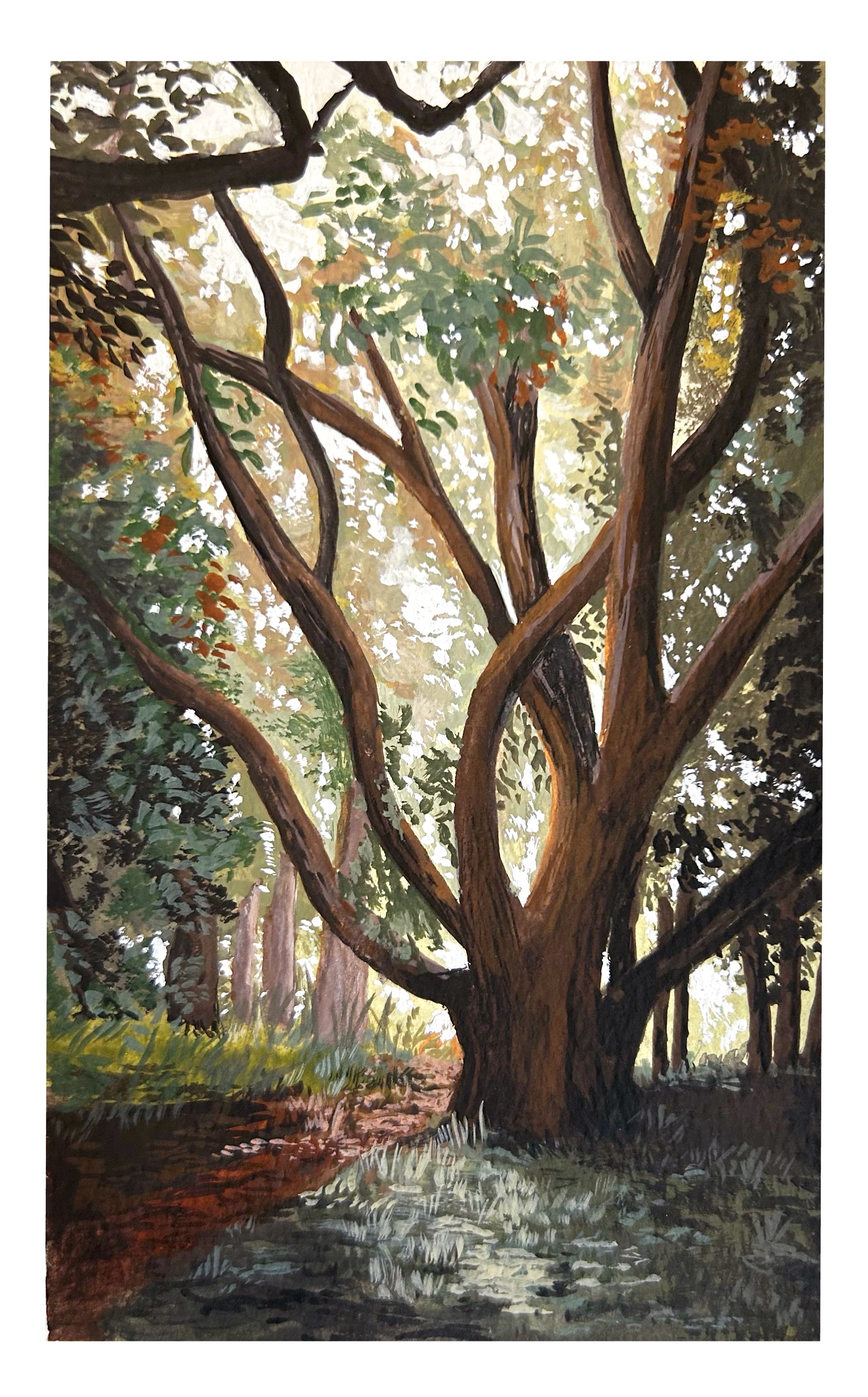 “In to the Trees” Print.