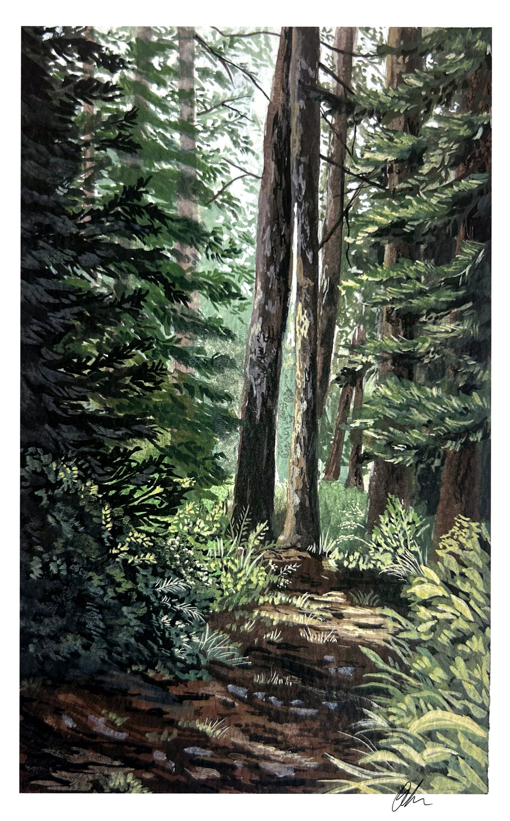 “Through the Pines” Print