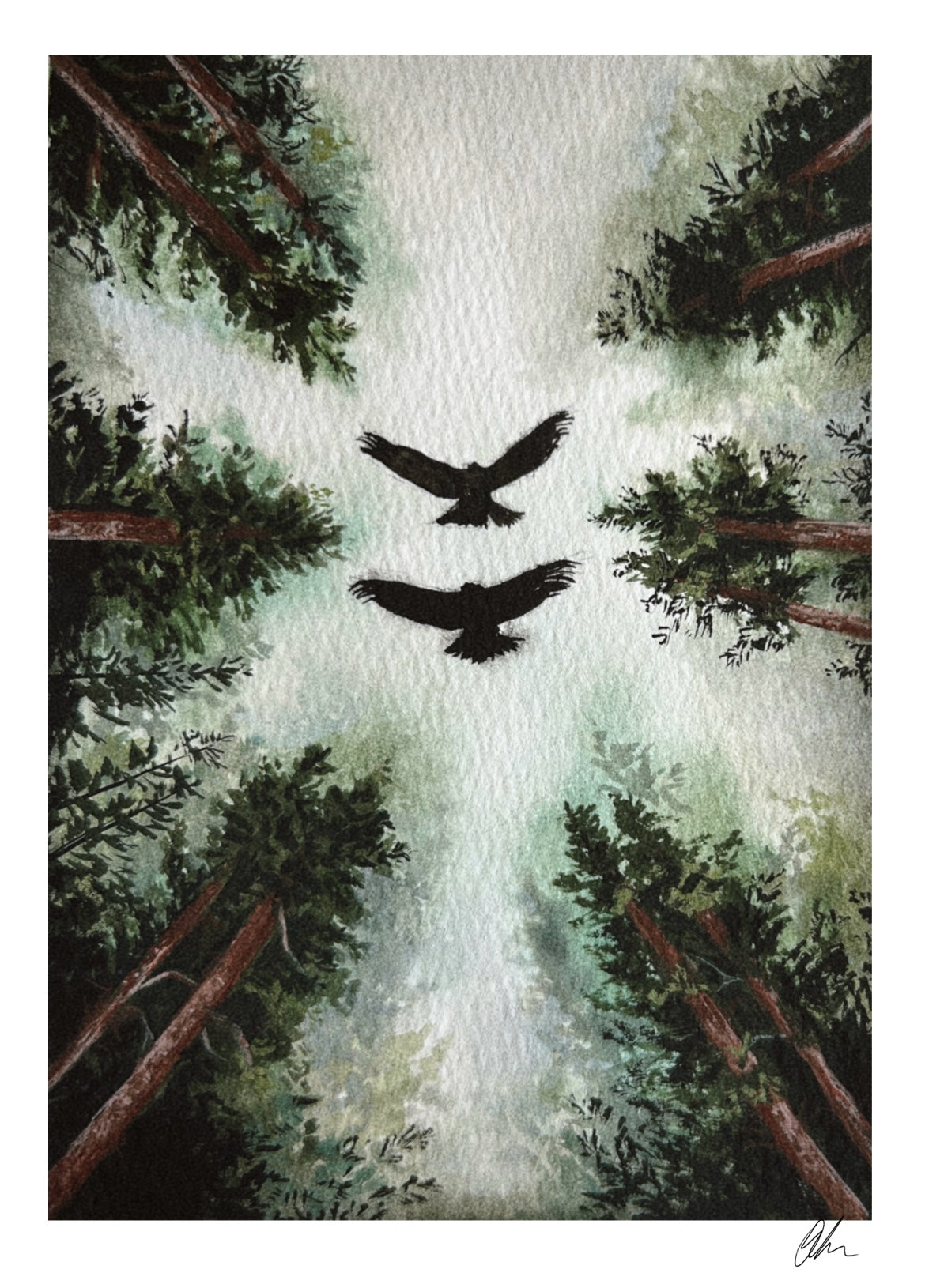 “Above the pines” Print