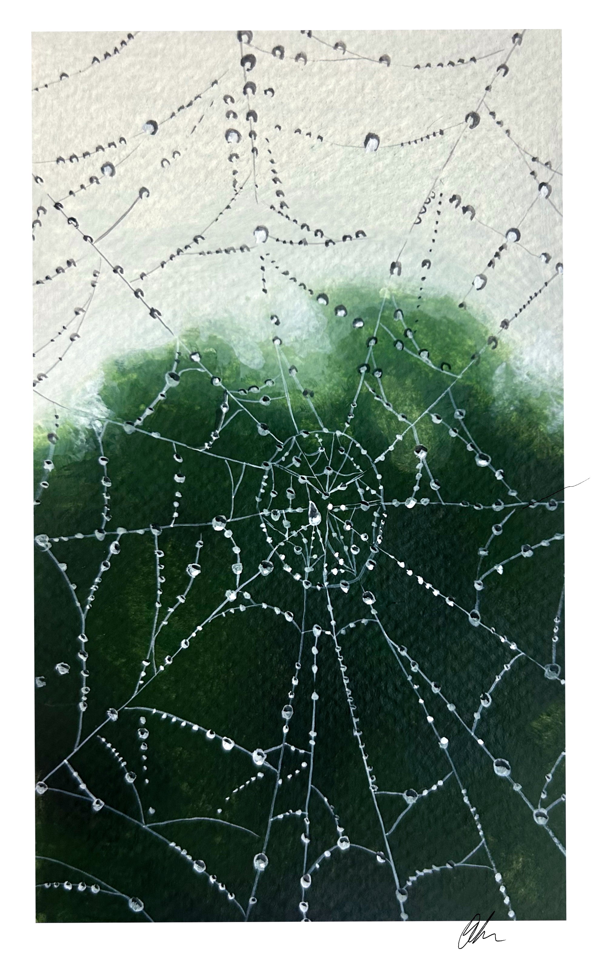 “Natures Lacework” Print