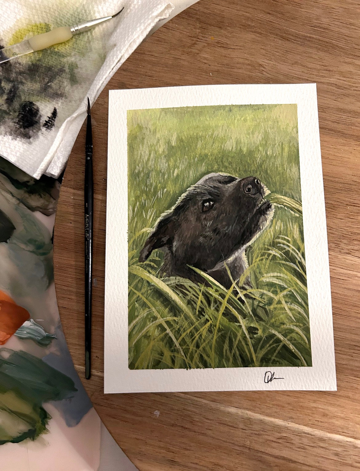 CUSTOM gouache: Animal portraits
