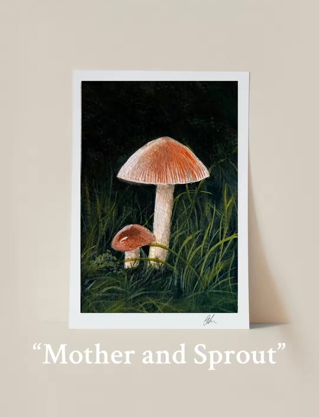 Little Realms: The Mushroom Series