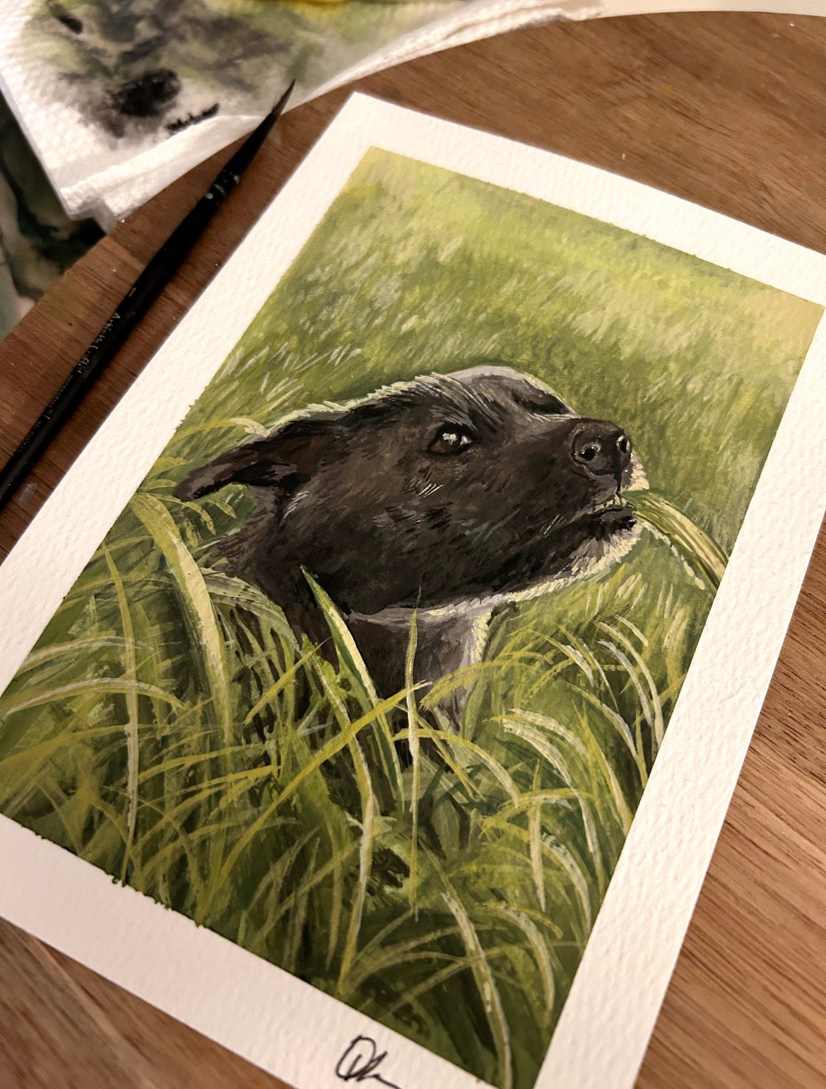 CUSTOM gouache: Animal portraits