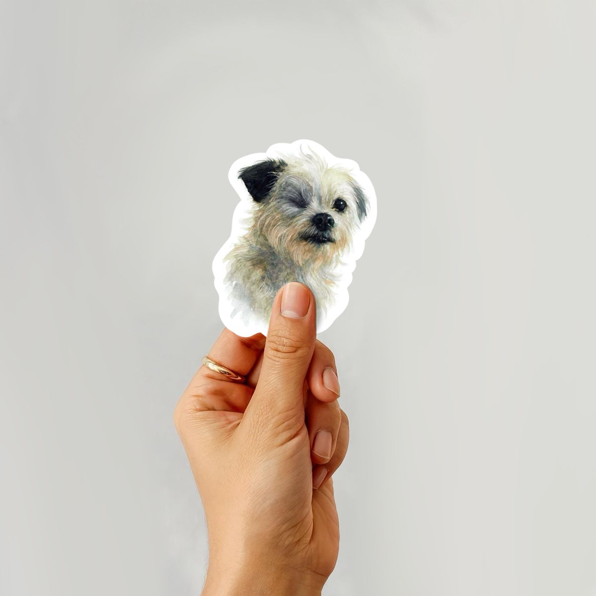 Portrait Sticker Add-On